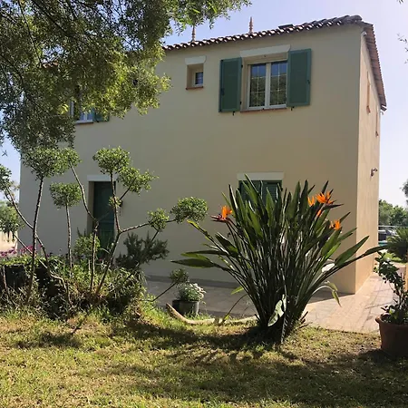 Au Moulin Carlotta - Luxe Corse Serra-di-Fiumorbo