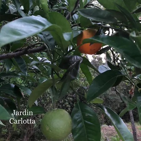 Au Moulin Carlotta - Luxe Corse * Serra-di-Fiumorbo