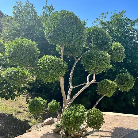 Au Moulin Carlotta - Luxe Corse Casa vacanze *