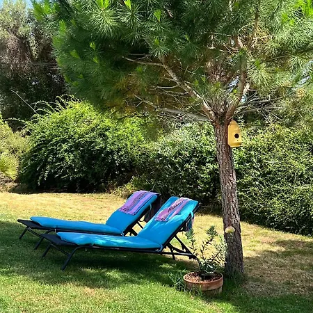 Casa vacanze Au Moulin Carlotta - Luxe Corse Serra-di-Fiumorbo